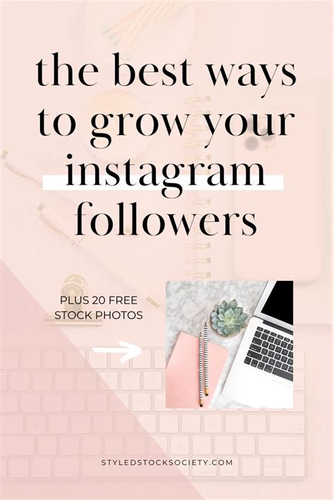 How To Grow Your Instagram Followers Styled Stock Society Instagram