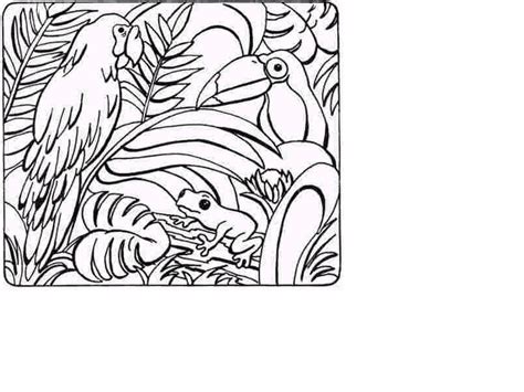 Rainforest Coloring Pages To Download And Print For Free