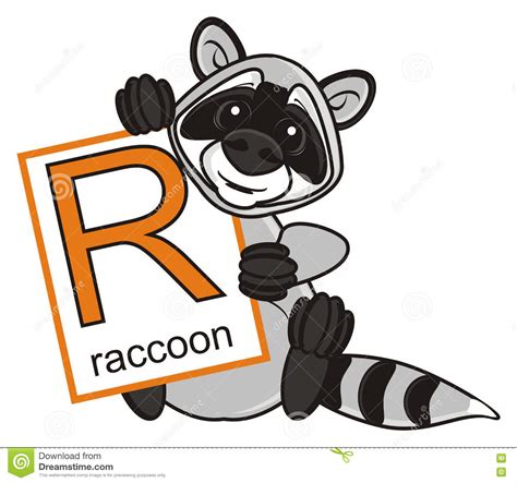 Raccoon R Letter Cute Children Animal Alphabet In Vector Funny