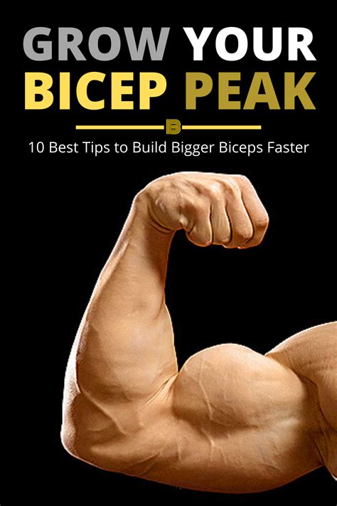 If You Want To Achieve That Elusive Bicep Peak Then You Need To Do