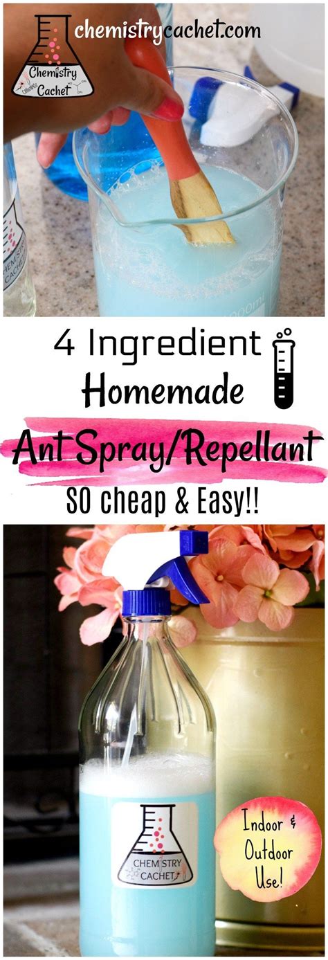 This really works!!all you need is a cup of warm water, 1/2 cup sugar, and 2 tablespoons of borax. Chemistry Secrets: Cheap & Easy Homemade Ant Spray | Ant ...