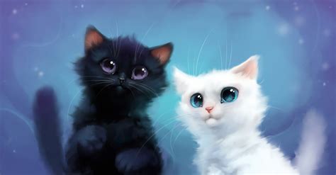 A Black And A White Kitten By Apofiss