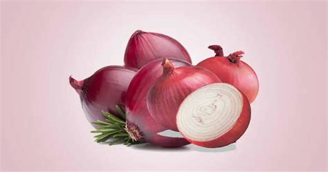 Onion Allium Cepa Important Health Benefits Of The Onion Bulb And Peel