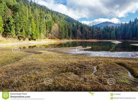 Crystal Clear Lake Near The Pine Forest In Mountains Stock