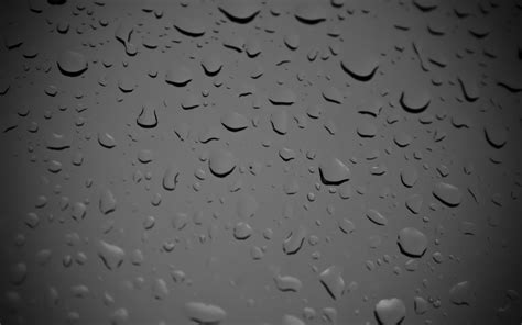 4k Rain Wallpapers High Quality Download Free