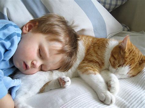 Baby Sleeping With A Cat Bored Panda