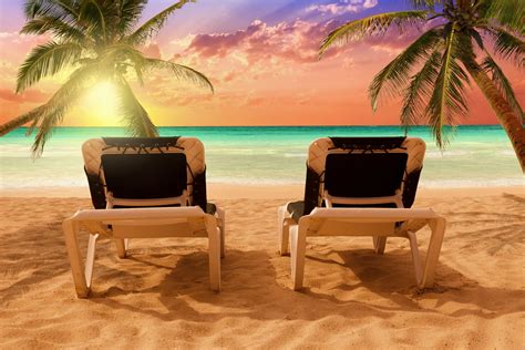 Download Sand Horizon Sunset Ocean Palm Tree Tropical Photography Beach