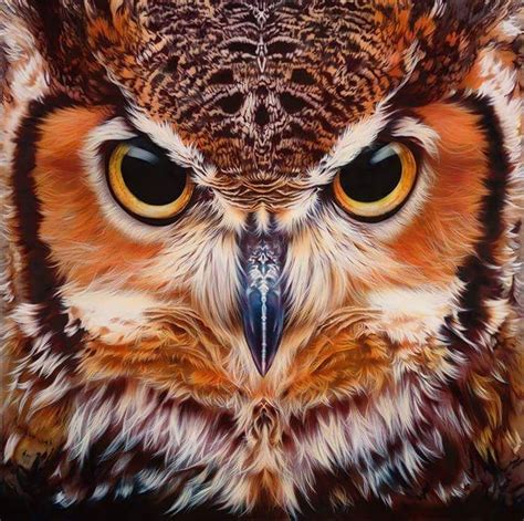 Buho Pintado Owl Bird Bird Art Pet Birds Owl Tattoo Drawings Owls