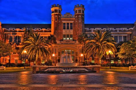 Why I Chose Florida State University