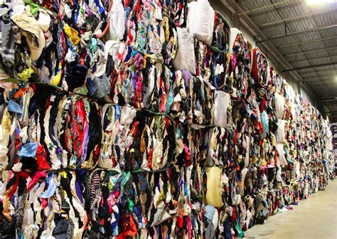 The Clothing Waste Problem By Tony Maiorana