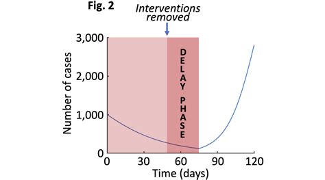 Mathematical Modelling Of Covid 19 Exit Strategies Mathematical Institute