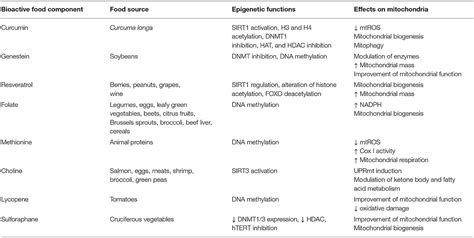 Frontiers Mitochondrion At The Crossroad Between Nutrients And Epigenome