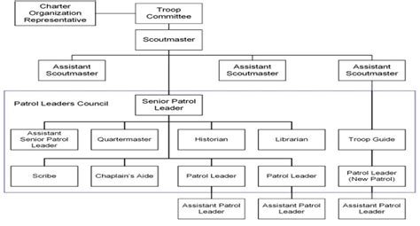 Structure Of The BSA EAGLE SCOUT HISTORY