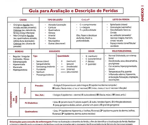 Evolução De Ferida Enfermagem