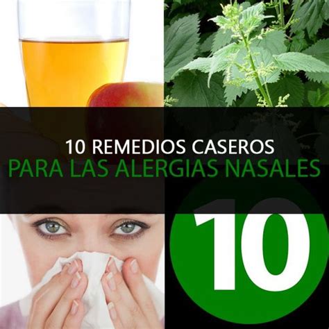 10 Remedios Caseros Para Las Alergias Nasales La Guía De Las Vitaminas