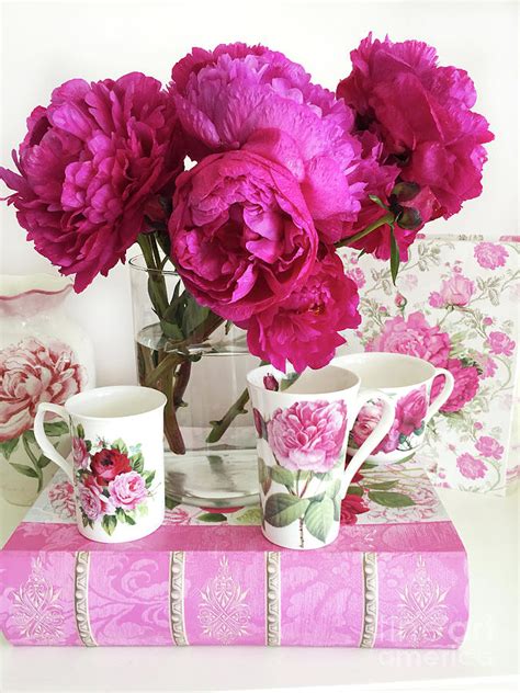 Free for commercial use no attribution required high quality images. Pink Peonies, Red Peonies, Peony Flowers, Peonies Peony ...
