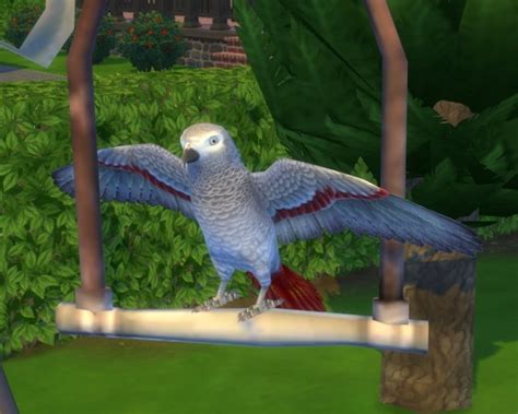 Cs Tropical Bird By Biguglyhag At Simsworkshop Sims 4 Updates