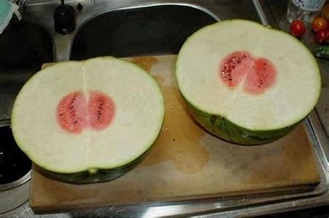 Worst Watermelon Ever And More Incredible Links Incredible Things