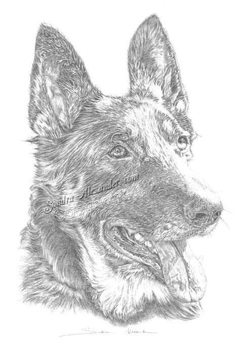Items Similar To German Shepherd Police Dog 9 X13 Signed Print From