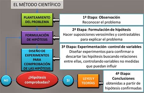 Ejemplos De Etapas Del Metodo Cientifico Kulturaupice