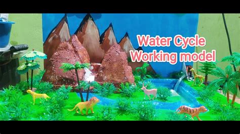 Water Cycle Working Model Science Project YouTube