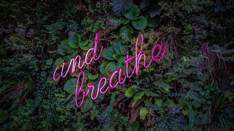 Breathe Neon Sign 5k Wallpapers Hd Wallpapers Id 27243