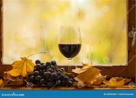 Autumn Red Wine Stock Image Image Of Drink Autumn Grape 45902463