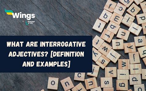 What Are Interrogative Adjectives Definition And Examples Leverage Edu