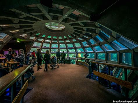 Seattle Aquarium Seattle Aquarium Vacation Hot Spots Seattle