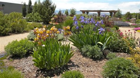 Water Wise Landscape Ideas For Existing Landscapes Usu