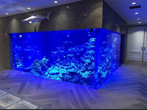 Monster Build Introducing My Home 17k Gallon Reef Amazing Aquariums