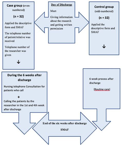 Flow Chart Of The Study Smaf Functional Autonomy Measurement System