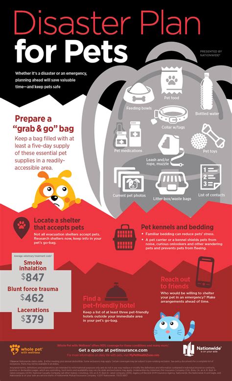 Disaster Plan for Pets Infographic | Pet Health Insurance & Tips