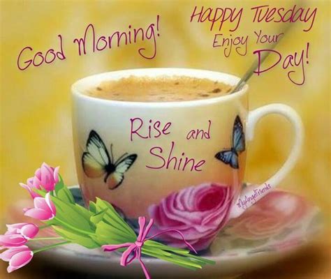 Good Morning Happy Tuesday Pictures Photos And Images For Facebook