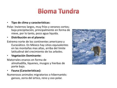 Cuadros Comparativos De Biomas Cuadro Comparativo Biomas Bioma De La Selva Bioma Del Desierto