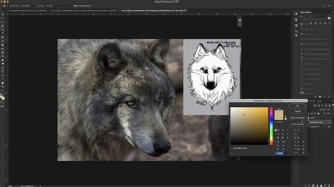 Wolf Recolor Tutorial Part One The Basics Youtube