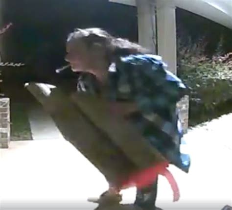 Grinch Caught On Camera Stealing Christmas Decorations In West Mobile