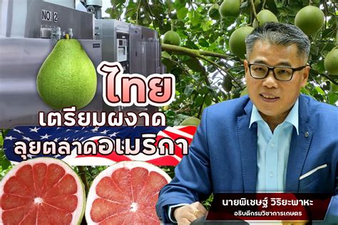 กรมวิชาการเกษตร ลุ้น 15 ปี ส้มโอไทยได้ผงาดลุยตลาดอเมริกา | ThaiPR.NET