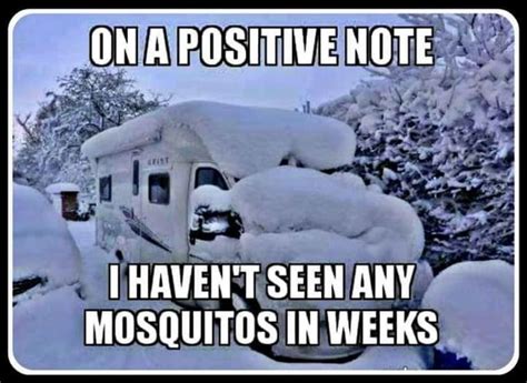On A Positive Note Camping Memes Winter Jokes Winter Humor