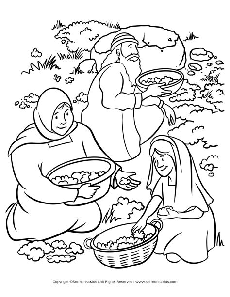 Manna From Heaven Coloring Page Artofit