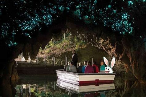 Waitomo Glowworm Caves Are Natures Ideal Mood Lighting