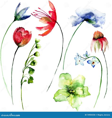 Set Of Spring Flowers Stock Illustration Illustration Of Plant 74904336