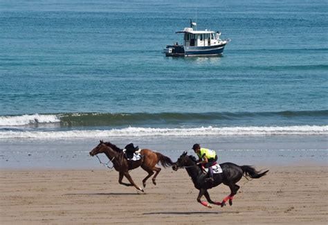 Fallado El Concurso Fotográfico De Las Carreras De Caballos De