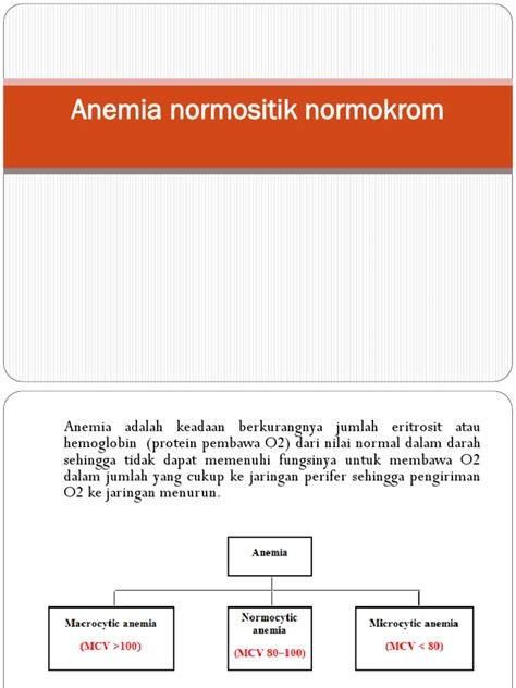 Pengayaan Anemia Normositik Normokrom Pdf