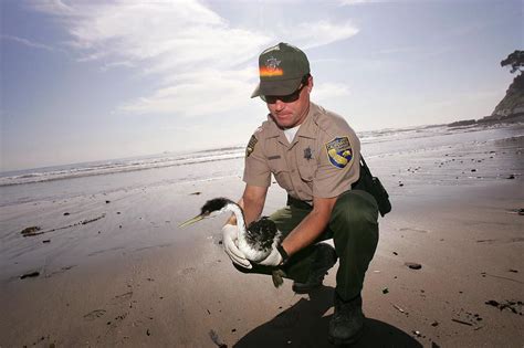 Fish And Game Warden Job Description Salary Skills And More Warden