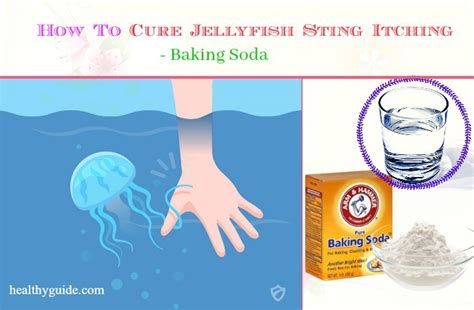 16 Tips How To Cure Jellyfish Sting Rash And Itching Naturally After A Week