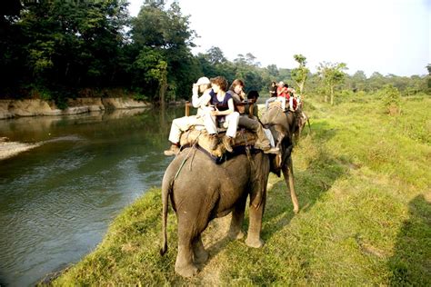 Bardia Jungle Safari Tour 36313holiday Packages To Kathmandu