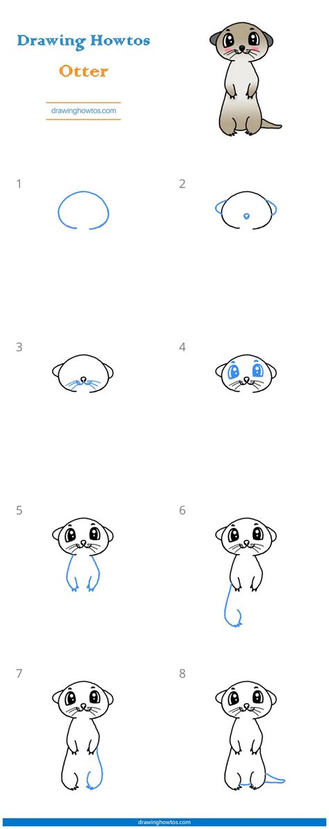 This way to draw a realistic butterfly. How to Draw an Otter - Step by Step Easy Drawing Guides ...