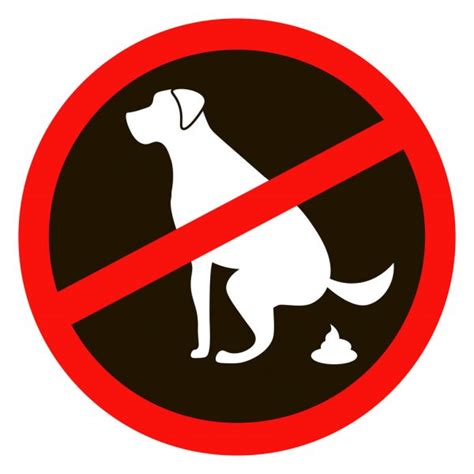 Dog Poop Vector Sign Stock Vector Image By ©arcady 443898028