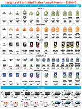 Military Rank Structure Pictures